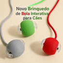 Novo brinquedo interativo da bola do cão, bola do cão de rolamento automático recarregável, brinquedo interativo do filhote de cachorro inteligente, brinquedo das bolas inteligentes para cães